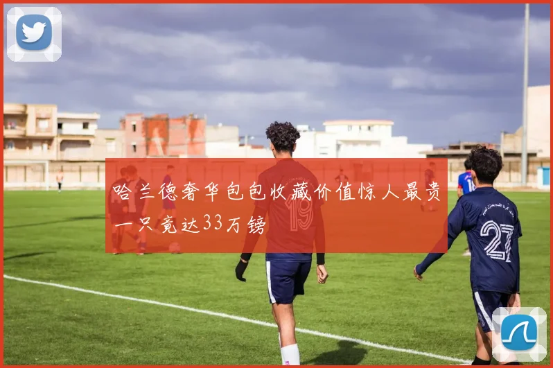 哈兰德奢华包包收藏价值惊人最贵一只竟达33万镑