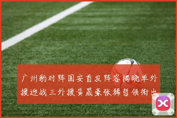 广州豹对阵国安首发阵容揭晓单外援迎战三外援黄晟豪张稀哲领衔出战