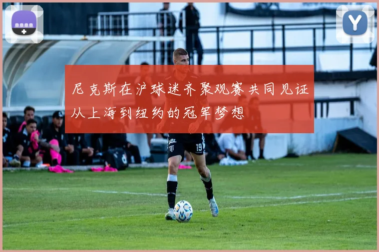 尼克斯在沪球迷齐聚观赛共同见证从上海到纽约的冠军梦想